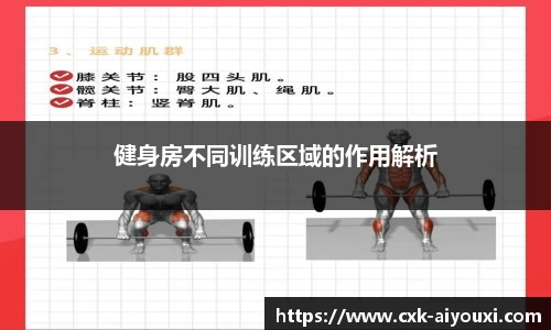 爱游戏ayx官方网站